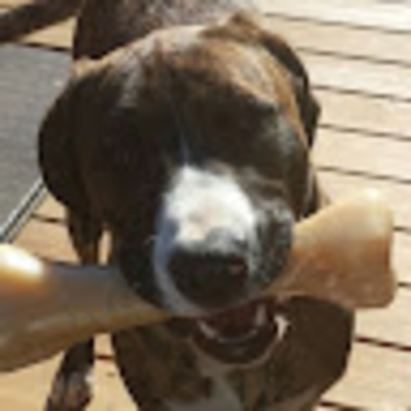 Meet your Posher, Paul - Picture 1 of 1